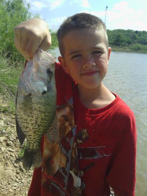 Texas crappie caught on a small jig.