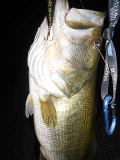 Night Fishing For Largemouth Bass