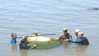 Teaching Jeremy Wade from River Monsters