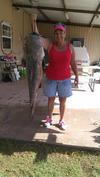 50 Pound Flat Head Catfish