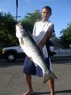 American River (Striper King)