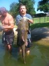 Arkansas Catfish Noodling