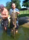 Catfish Noodling Guides And Services