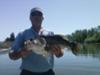 8 lb 14 oz California Delta Largemouth Bass