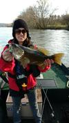 Feisty Smallmouth Bass