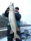 The Beast!  - 37 Pound Muskie