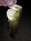 Big Bass Night Fishing at One of My Favorite Holes