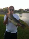 10 Largemouth Bass caught in a lake in Jacksonville