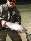 Muddy Water Rainbow Trout