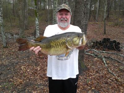 11 pound largemouth bass on ultralight gear