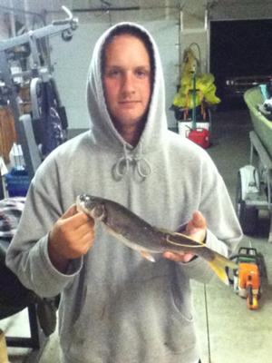 Tagged Squawfish worth $500