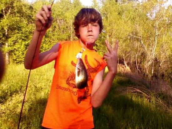 Small Largemouth Bass from a Small Pond