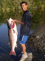 Striped Bass Fishing The American River In Sacramento, California